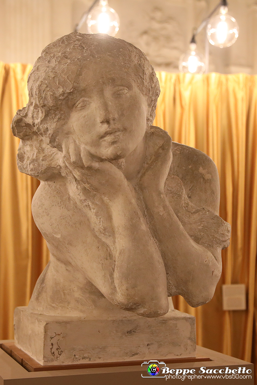 VBS_5097 - Liberty - Torino Capitale.jpg